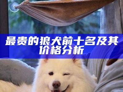 最贵的狼犬前十名及其价格分析