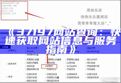 《37197网站查询：快速获取网站信息与服务指南》