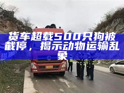 货车超载500只狗被截停，揭示动物运输乱象