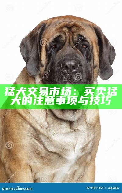 猛犬品种大全及其特征介绍