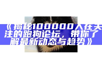 《揭秘100000人在关注的跑狗论坛，带你了解最新动态与趋势》