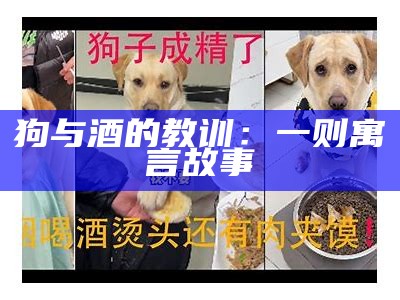 狗与酒的教训：一则寓言故事