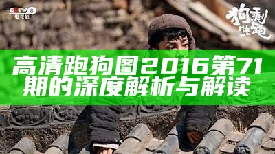 高清跑狗图2016第71期的深度解析与解读