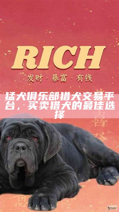 猛犬俱乐部猎犬交易平台，买卖猎犬的最佳选择