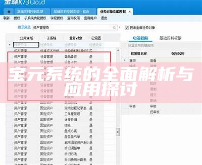 宝元系统的全面解析与应用探讨