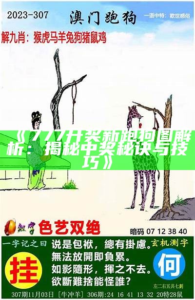 新一代正版跑狗论坛网的精彩冒险之旅