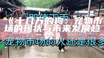 《十几万的狗：宠物市场的现状与未来发展趋势》