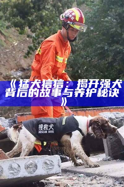 《猛犬狺狺：揭开强犬背后的故事与养护秘诀》