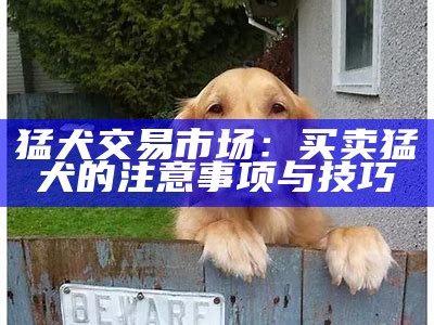 猛犬交易市场：买卖猛犬的注意事项与技巧