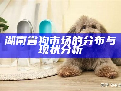 湖南省狗市场的分布与现状分析