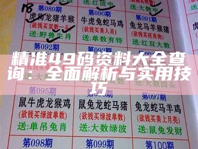 精准49码资料大全查询：全面解析与实用技巧