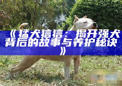 《猛犬狺狺：揭开强犬背后的故事与养护秘诀》