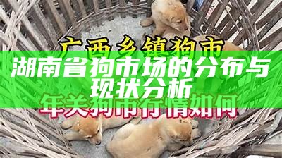 湖南省狗市场的分布与现状分析