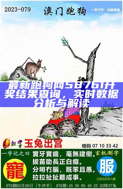 最新跑狗网58761开奖结果查询，实时数据分析与解读