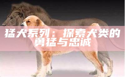 猛犬系列：探索犬类的勇猛与忠诚