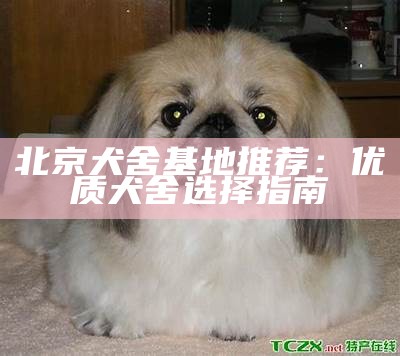 北京犬舍基地推荐：优质犬舍选择指南