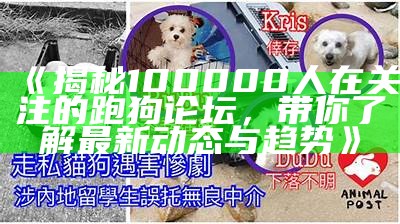 《揭秘100000人在关注的跑狗论坛，带你了解最新动态与趋势》