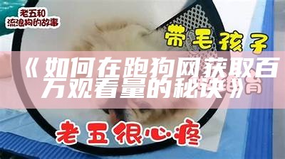 《如何在跑狗网获取百万观看量的秘诀》