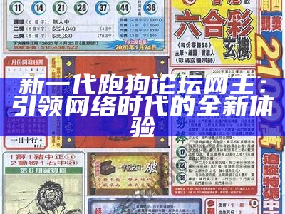 手机跑狗网955966：手机追踪与安全防护的全面指南