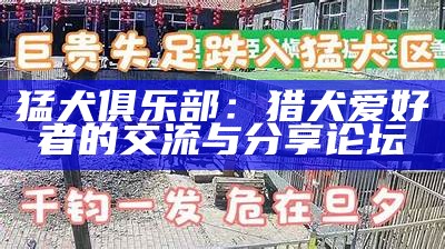 猛犬交易市场：买卖猛犬的注意事项与技巧