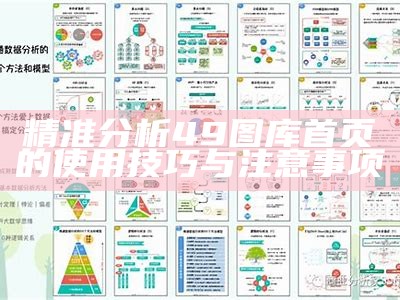 精准分析49图库首页的使用技巧与注意事项