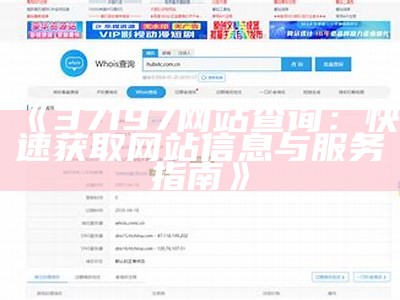 《37197网站查询：快速获取网站信息与服务指南》