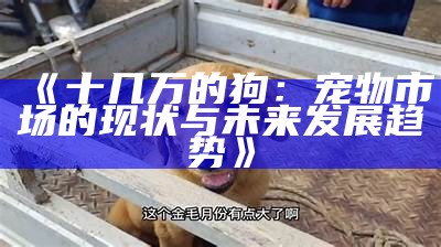 《十几万的狗：宠物市场的现状与未来发展趋势》