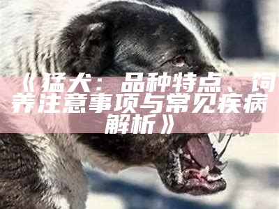 《猛犬狺狺：揭开强犬背后的故事与养护秘诀》