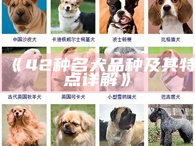 《42种名犬品种及其特点详解》