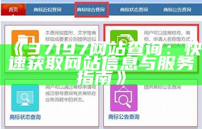 《37197网站查询：快速获取网站信息与服务指南》