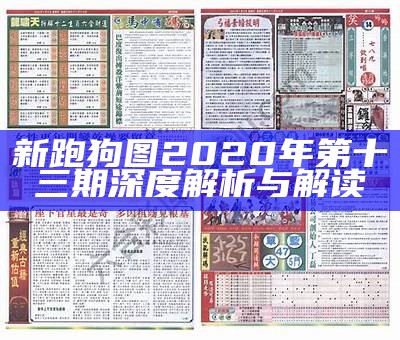 新跑狗图2020年第十三期深度解析与解读