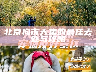 北京狗市大集的最佳去处与攻略