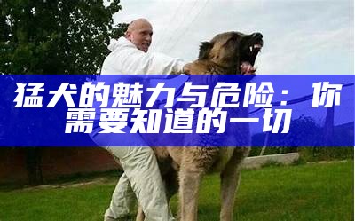 猛犬的魅力与危险：你需要知道的一切