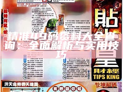 精准49码资料大全查询：全面解析与实用技巧