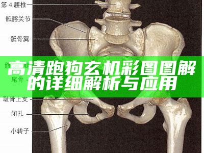 高清跑狗玄机彩图图解的详细解析与应用