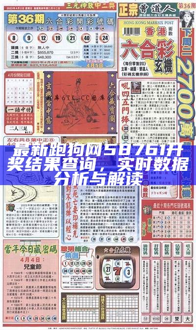 最新跑狗网58761开奖结果查询，实时数据分析与解读