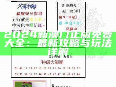 2024年澳门王中王天天的精彩活动与攻略