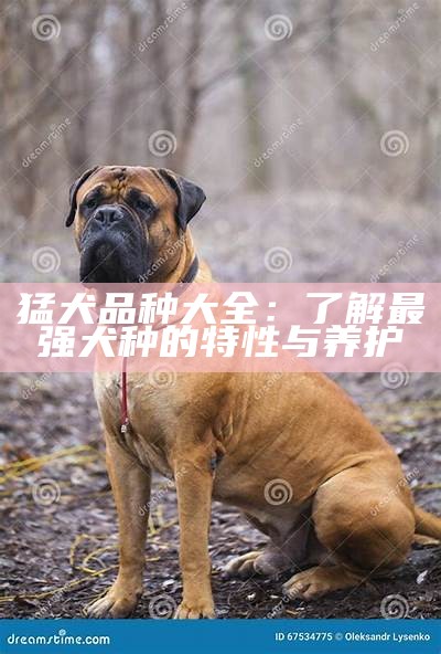 猛犬品种大全：了解最强犬种的特性与养护