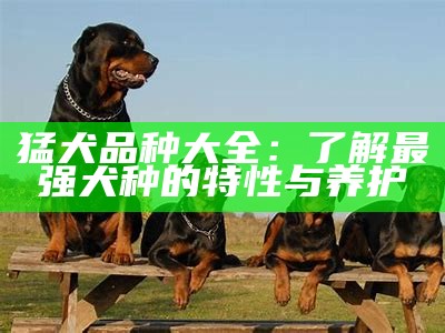 猛犬品种大全：了解最强犬种的特性与养护