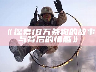 《探索18万条狗的故事与背后的情感》