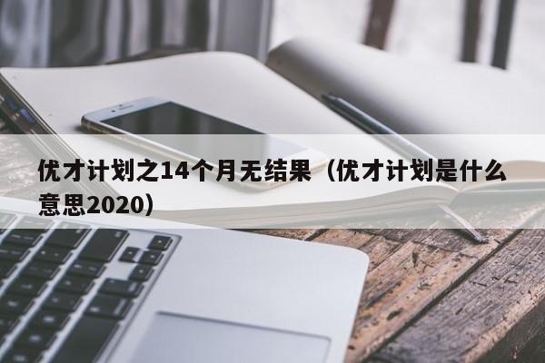 优才计划之14个月无结果（优才计划是什么意思2020）-第1张图片-澳门彩今晚开奖结果