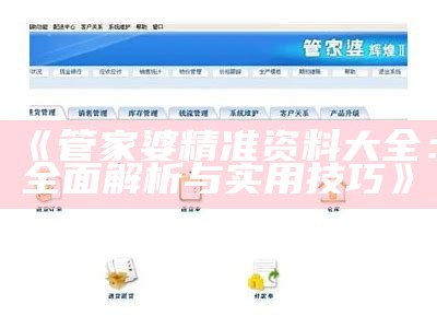 《管家婆精准资料大全：全面解析与实用技巧》