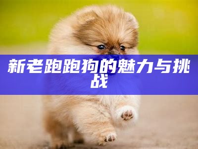 高清跑狗新报：最新高清跑狗资讯与分析