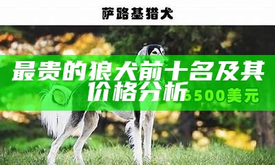 最贵的狼犬前十名及其价格分析