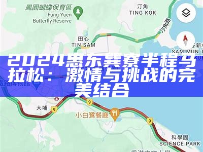 2024惠东巽寮半程马拉松：激情与挑战的完美结合