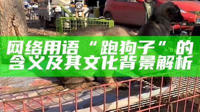 网络用语“跑狗子”的含义及其文化背景解析