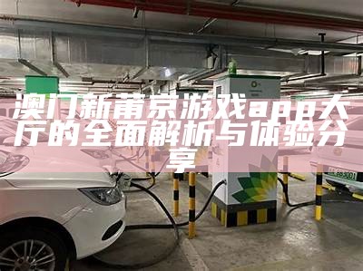 澳门新莆京游戏app大厅的全面解析与体验分享